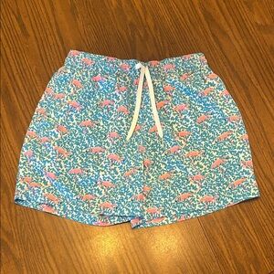 Men’s Chubbie swimming trunks